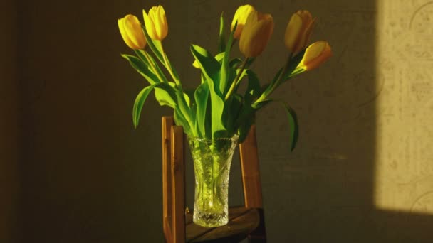 Увядающие жёлтые тюльпаны — стоковое видео