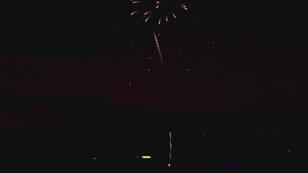ดอกไม้ไฟกระพริบในเวลากลางคืน — วีดีโอสต็อก