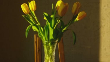 Sarı laleler Soldurma