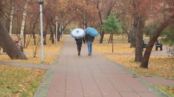 Wandern im Herbstpark — Stockvideo