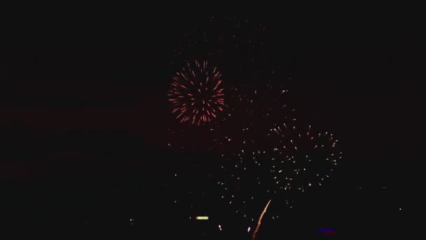 Feux d'artifice clignotant dans la nuit — Video