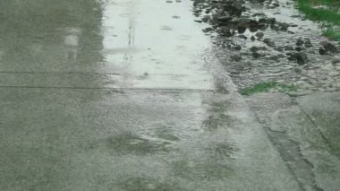 Tropik yaz yağmuru