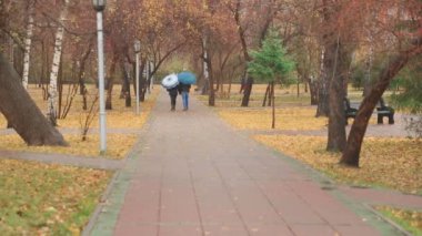 Sonbahar parkında yürüyorum