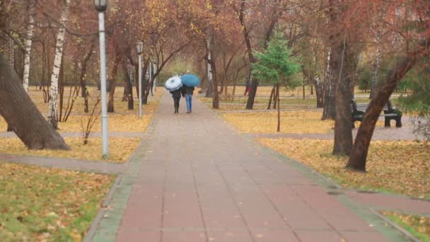 Wandern im Herbstpark — Stockvideo