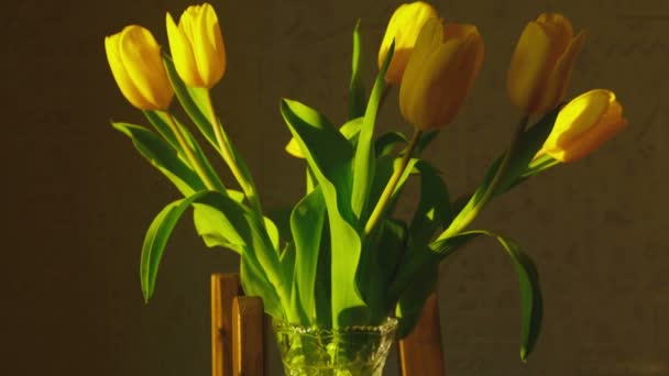 Verwelking gele tulpen — Stockvideo