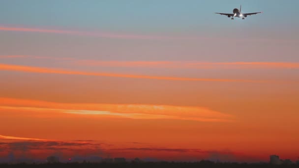 Flugzeug nähert sich im Morgengrauen — Stockvideo