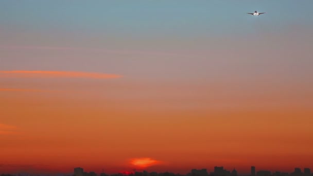 飞机接近黎明 — 图库视频影像