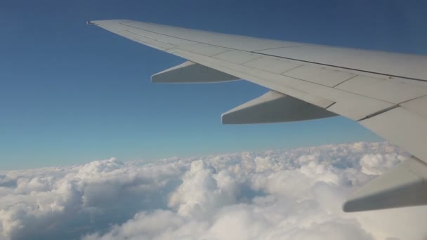 Vista aérea do avião — Vídeo de Stock