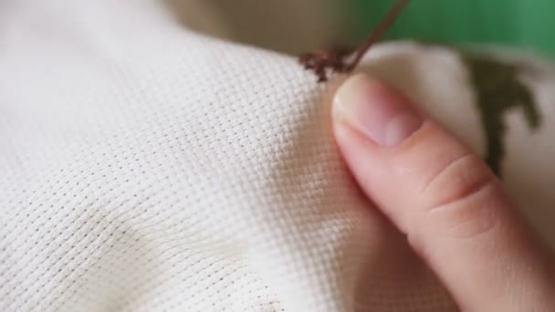 Embroidery cross stitching — Stock Video