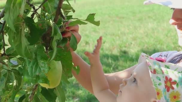 Οκτώ μηνών κορίτσι και πράσινο μήλο — Αρχείο Βίντεο