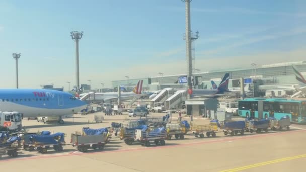 Aéroport de Francfort trafic d'aire de trafic — Video