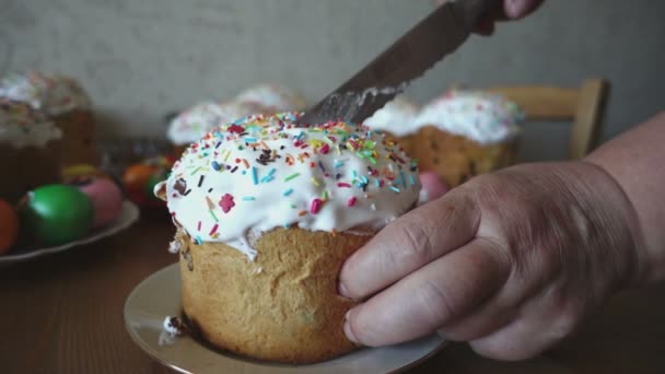 Femme coupe un couteau gâteau de Pâques — Video