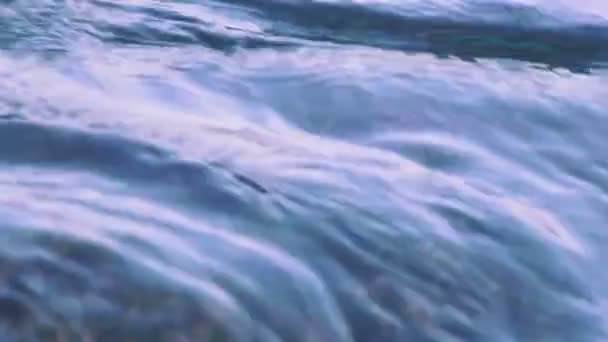 Краб на скале на пляже — стоковое видео