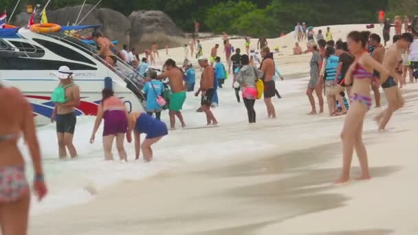 Turistas em Similans — Vídeo de Stock