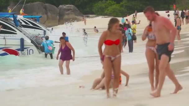 Tourists at Similans — Stock Video