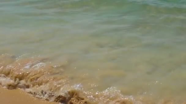 Wave of the ocean on the sand beach — Stock Video