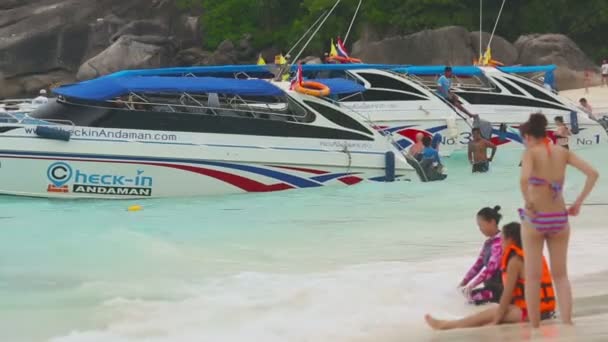 Tourists at Similans — Stock Video