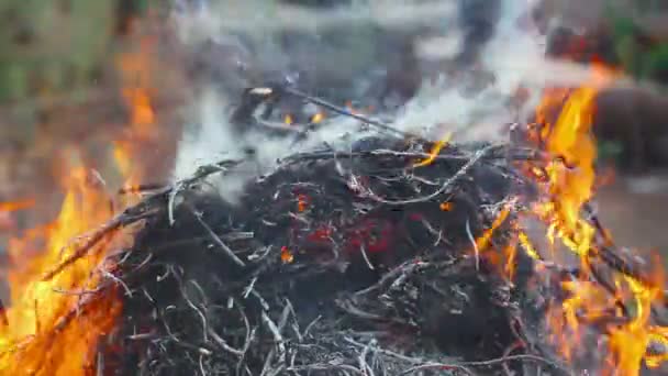 Le feu brûlant branches sèches 