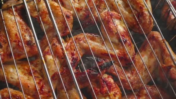 Matlaging utendørs grillmat – stockvideo
