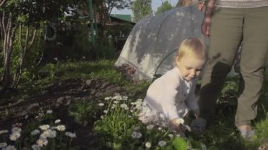 Küçük kız daises Bahçe üzerinde alır.