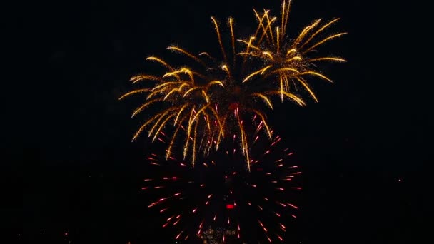 Fogos de artifício piscando na noite — Vídeo de Stock