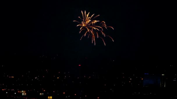 Fuegos artificiales parpadeando en la noche — Vídeo de stock