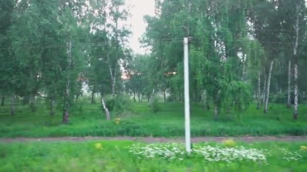 Paisaje siberiano occidental a través de la ventana del tren — Vídeo de stock