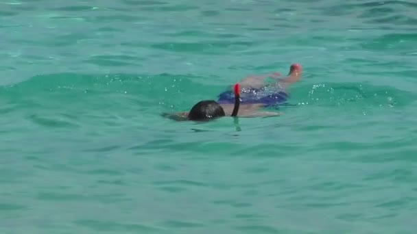 Snorkelen in het heldere turquoise water — Stockvideo