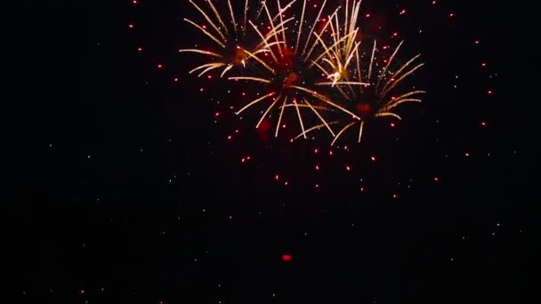 Fireworks blinkande i natt — Stockvideo