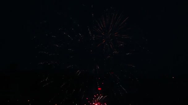 Fogos de artifício piscando na noite — Vídeo de Stock