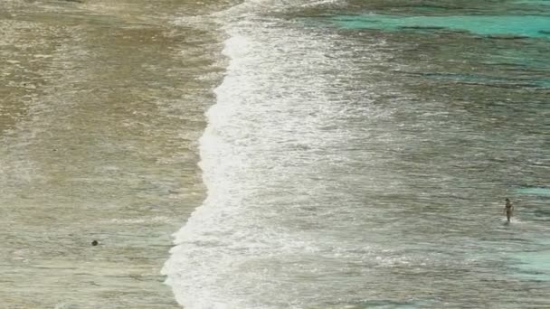 Surfa vågor på stranden Similan — Stockvideo