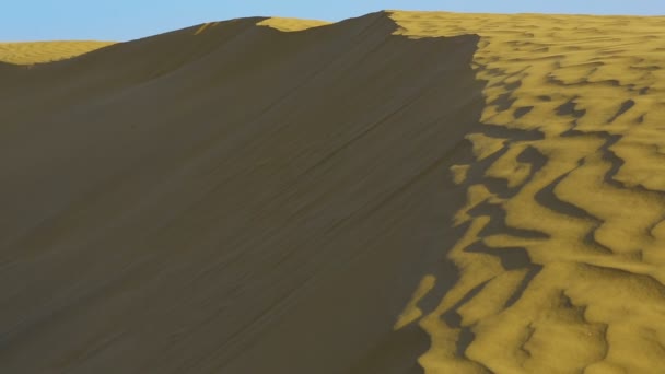 Sanddynerna i thar öknen. — Stockvideo