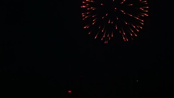 Fuegos artificiales parpadeando en la noche — Vídeo de stock