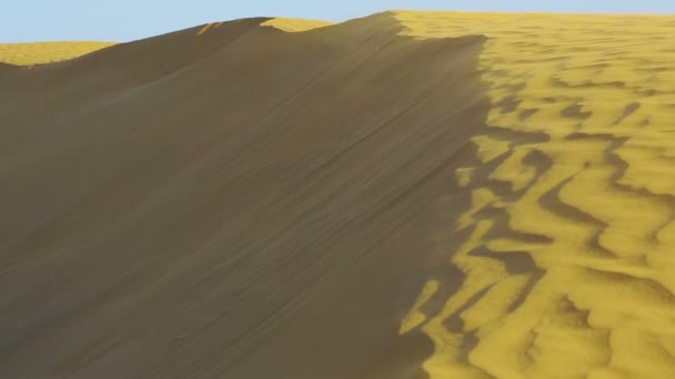 Thar çöl dunes. — Stok video