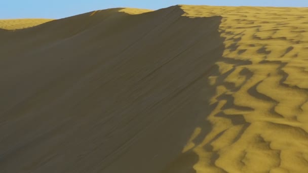 Dunas de thar deserto . — Vídeo de Stock