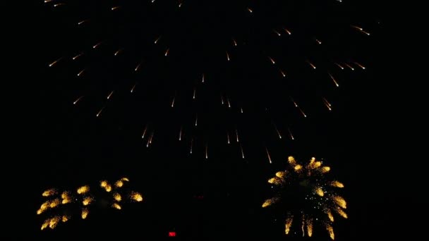 Fogos de artifício piscando à noite — Vídeo de Stock