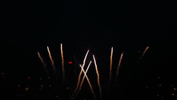 Fuegos artificiales parpadeando por la noche — Vídeo de stock