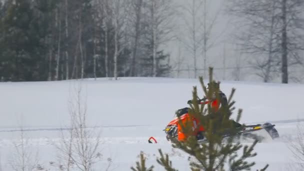 Motos de nieve acelerando en el bosque — Vídeo de stock