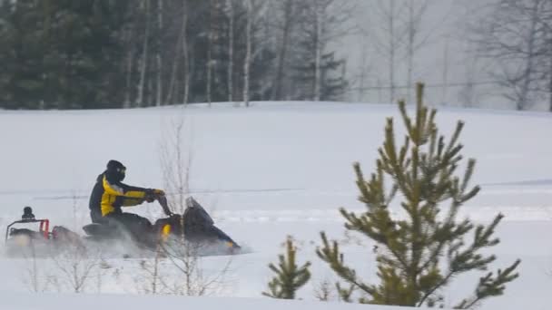 Snowmobile acelerando na floresta — Vídeo de Stock