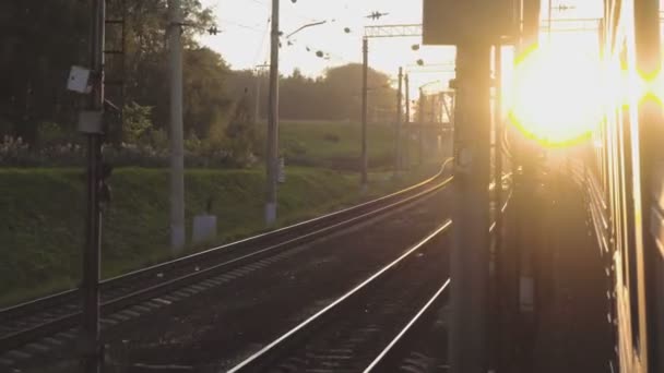 Suburban train at sunset — Stock Video