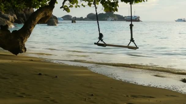 Ein Seil schaukelt am Strand — Stockvideo