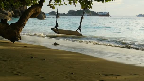 Una cuerda se balancea en la playa — Vídeos de Stock