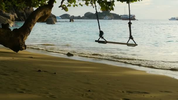 A rope swings on the beach — Stock Video