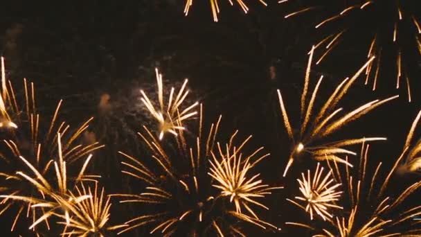 Fuochi d'artificio lampeggianti la sera — Video Stock