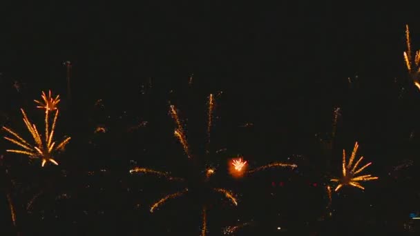 Fuochi d'artificio lampeggianti la sera — Video Stock