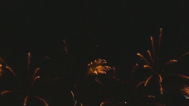 Fuegos artificiales parpadeando por la noche — Vídeo de stock