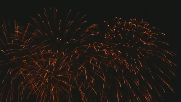 Fireworks flashing in the evening — Stock Video