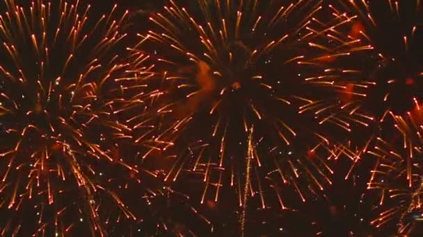 Fuochi d'artificio lampeggianti la sera — Video Stock