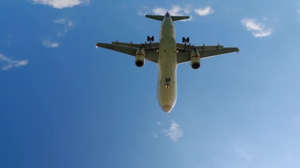 Avion de ligne approchant de la piste au-dessus de la plage océanique — Video