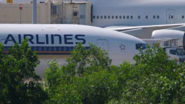 Boeing 777 gurulás leszállás után — Stock videók